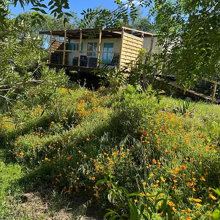 Bleu Roquebrune-sur Argens