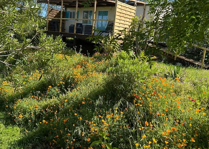 Bleu Roquebrune-sur Argens